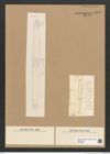 Diatomeae indet. Zeichnungen Sammlung Grunow Nr. 5505 (NHMW-BOT-W0373946)
